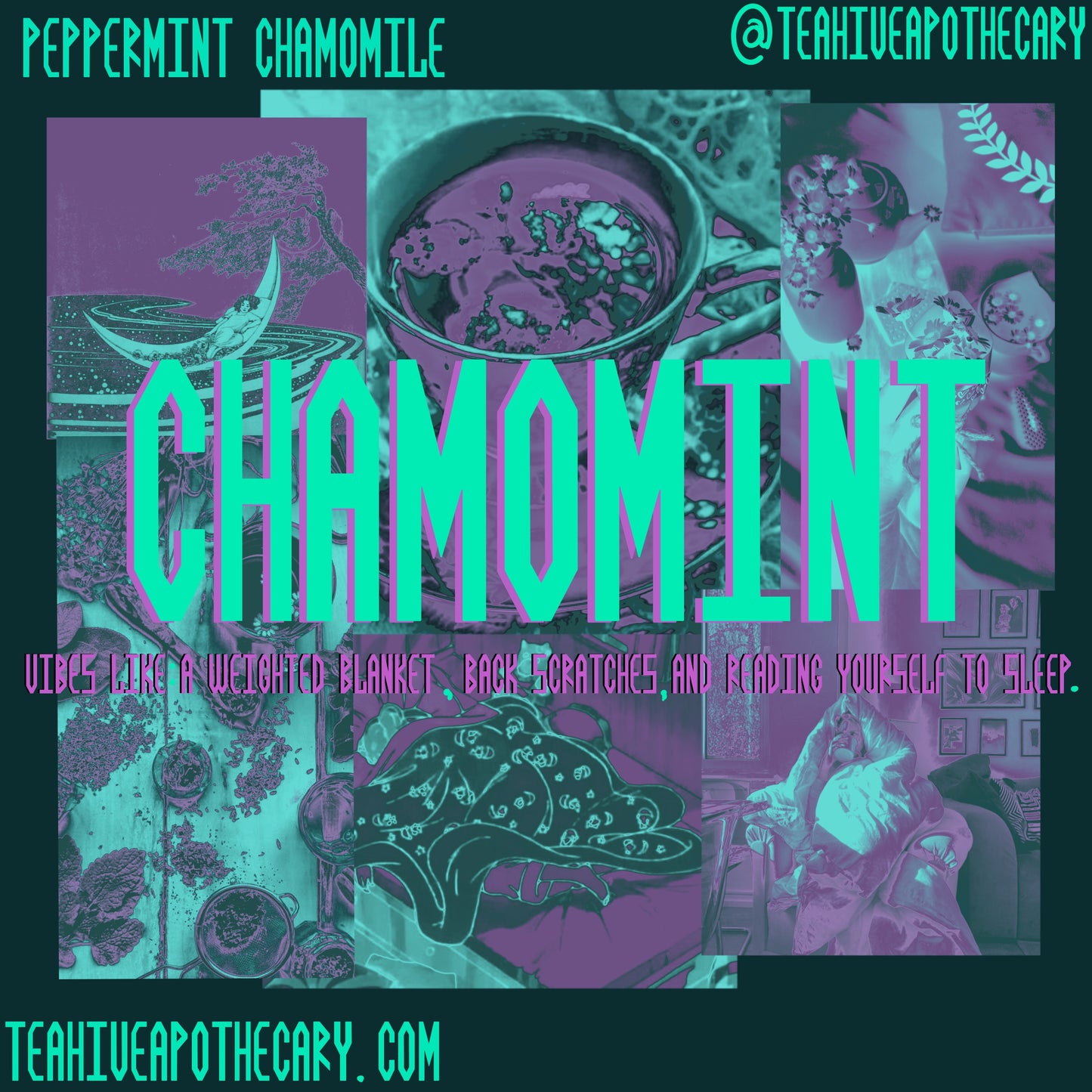 CHAMOMINT- Peppermint Chamomile